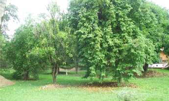 Imagem 7: Chacara de 2520 m² com 04 Dormitórios Itu SP