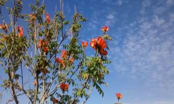 Imagem 4: Lotes a Partir de 1000 m² - Itu SP