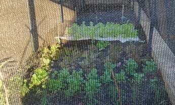 Imagem 4: Casa Residencial dos Lagos Itupeva