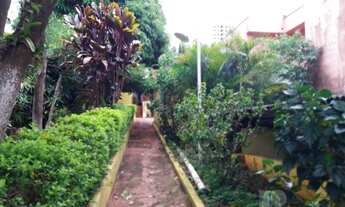 Imagem 5: Terreno à venda em Santo André-SP, bairro Campestre, com 400,00 m² de área! Venha conferir