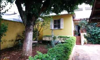 Imagem 6: Terreno à venda em Santo André-SP, bairro Campestre, com 400,00 m² de área! Venha conferir