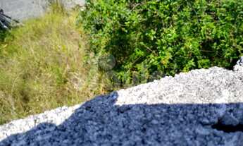 Imagem 3: TERRENO - BAIRRO CASA BRANCA COM 363 MTS - LOCALIZAÇÃO INVEJÁVEL !!!