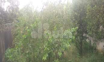 Imagem 6: Sobrado com 391 m² de área construída e 400 m² de terreno, dimensão 10x40 Paraiso Santo An