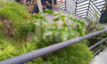 Imagem 3: Lindo Sobrado, na Vila Bastos, com 03 dorms, sala 02 ambientes, cozinha, area gourmet com