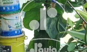 Imagem 2: Apartamento de luxo na Vila Bastos, com 3 quartos, 1 suíte, e 3 vagas de garagem