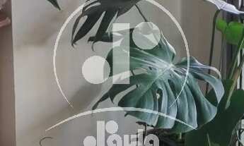 Imagem 5: Apartamento de luxo na Vila Bastos, com 3 quartos, 1 suíte, e 3 vagas de garagem