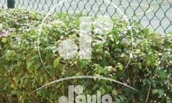 Imagem 5: Impecável apartamento à venda em Santo André-SP, Vila Bastos: 3 quartos, 1 suíte, 1 sala