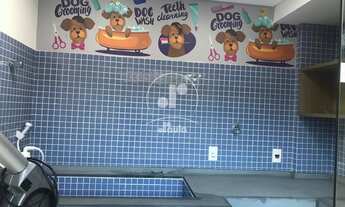 Imagem 6: Apartamento à venda em Santo André-SP, bairro Campestre: 2 quartos, 1 suíte, 1 banheiro, 2