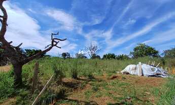 Imagem 2: Chácara com 5000 m2 nas Chácara no Jockey Camping