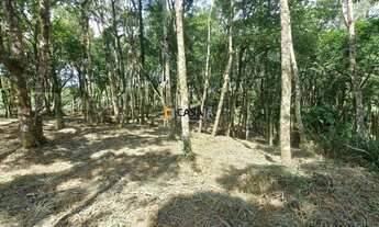 Imagem 2: CHACARA RURAL em CAMPO LARGO - PR, São João do Povinho