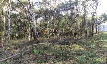 Imagem 5: CHACARA RURAL em CAMPO LARGO - PR, São João do Povinho