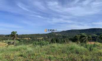 Imagem 2: CHACARA RURAL em BALSA NOVA - PR, Bugre