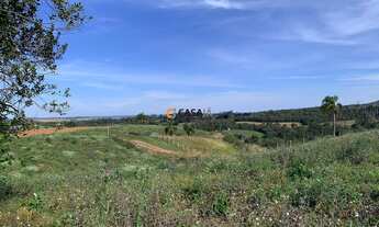 Imagem 5: CHACARA RURAL em BALSA NOVA - PR, Bugre