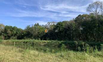 Imagem 6: CHACARA RURAL em BALSA NOVA - PR, Bugre