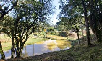 Imagem 7: CHACARA RURAL em Campo Largo - PR, Retiro