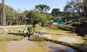 Imagem 2: CHACARA RURAL em Campo Largo - PR, Retiro