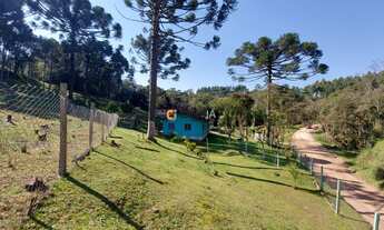 Imagem 3: CHACARA RURAL em Campo Largo - PR, Retiro