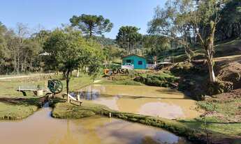 Imagem 4: CHACARA RURAL em Campo Largo - PR, Retiro