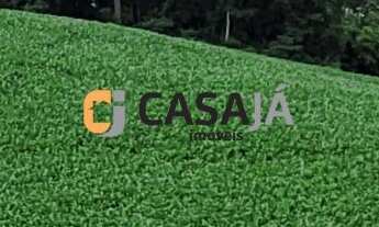 Imagem: CHACARA RURAL em ARAUCÁRIA - PR, CAMPINA