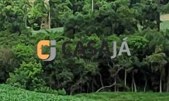 Imagem 3: CHACARA RURAL em ARAUCÁRIA - PR, CAMPINA DAS PEDRAS