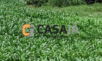 Imagem 6: CHACARA RURAL em ARAUCÁRIA - PR, CAMPINA DAS PEDRAS