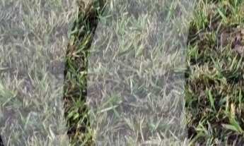 Imagem 5: Vendo terreno, Condomínio Jardins Veneza, FGR, lote amplo, contra-esquina e plano, Interla