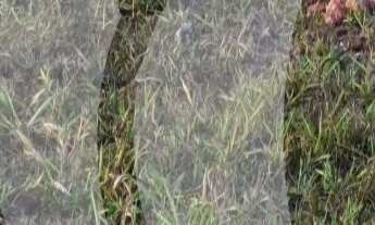 Imagem 6: Vendo terreno, Condomínio Jardins Veneza, FGR, lote amplo, contra-esquina e plano, Interla