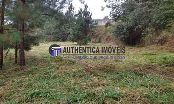 Imagem 4: Área (ZUM) com 10.321m² - Km 21 Rod. Rap. Tavares