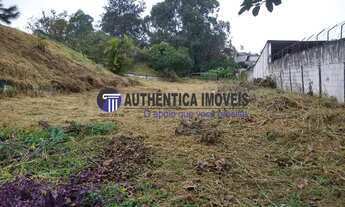 Imagem 3: Área (ZUM) com 10.321m² - Km 21 Rod. Rap. Tavares