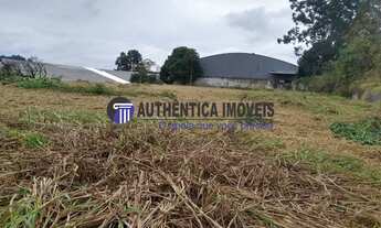 Imagem 5: Área (ZUM) com 10.321m² - Km 21 Rod. Rap. Tavares