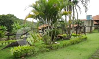 Imagem 3: CHÁCARA para VENDA - SABOÓ - SÃO ROQUE - SÃO PAULO - AUTHÊNTICA IMÓVEIS