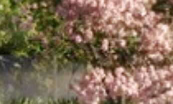 Imagem 3: Apartamento 2 suítes à venda na Vila Madalena, São Paulo/SP