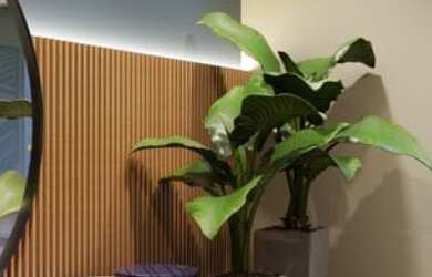 Imagem 5: Apartamento 2 quartos à venda no Jabaquara, São Paulo/SP