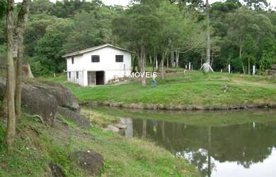 Imagem 2: Chácara à venda em Quatro Barras-PR, Borda do Campo: 338.800,00m² de área