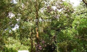 Imagem 5: Chácara à venda em Quatro Barras-PR, Borda do Campo: 338.800,00m² de área