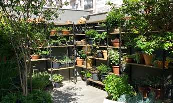 Imagem 6: Casa à venda em Balneário Camboriú-SC, Centro: 3 suítes e 7 vagas de garagem, 470m²