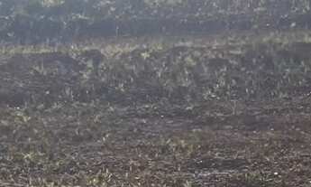 Imagem 2: Terreno para venda com 250m² no condomínio Mosaico horizontes em Mogi das Cruzes