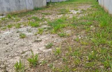 Imagem 6: Terreno plano para venda com 500m² na Vila São Paulo Botujuru