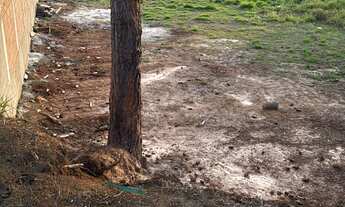 Imagem 4: Terreno para venda com 130m² na Vila Nova Aparecida em César de Souza