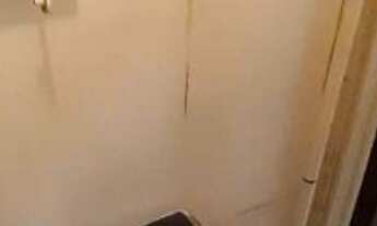 Imagem 6: Rua miguel Lemos