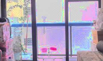 Imagem 3: Rua Paula Freitas predio como serviços