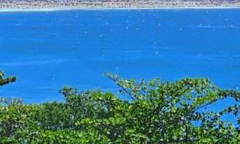 Imagem 1: Rua Francisco otaviano