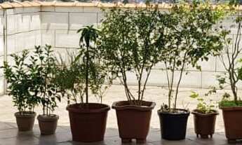 Imagem 6: CASA RESIDENCIAL em São Paulo - SP, Jose Bonifácio