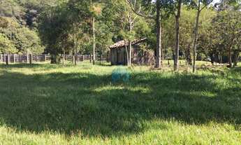 Imagem: Sítio com 34 Hectares, em Imaruí