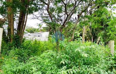Imagem 7: Ótimo Terreno Localizado a 1,5 km da Praia da Barra, Bairro Encantada, em Garopaba!