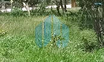 Imagem: Ótimo Terreno de Esquina com Potencial