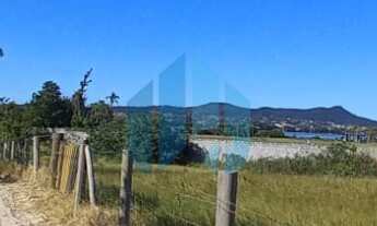 Imagem 4: Amplo Terreno com Acesso à Lagoa da Ibiraquera, Próx. às Praias do Rosa e Ouvidor!