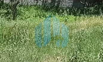 Imagem 3: Ótimo Terreno de Esquina com Potencial p/ Comercio, a 25 min do Centro de Garopaba!