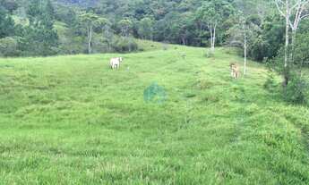 Imagem 3: Sítio com 34 Hectares, em Imaruí