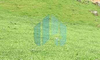 Imagem 2: Terreno de 2,9 Hectares, Localizado no Bairro Praia Vermelha, em Imaruí